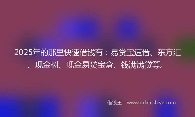 2025年的那里快速借钱有：易贷宝速借、东方汇、现金树、现金易贷宝盒、钱满满贷等。