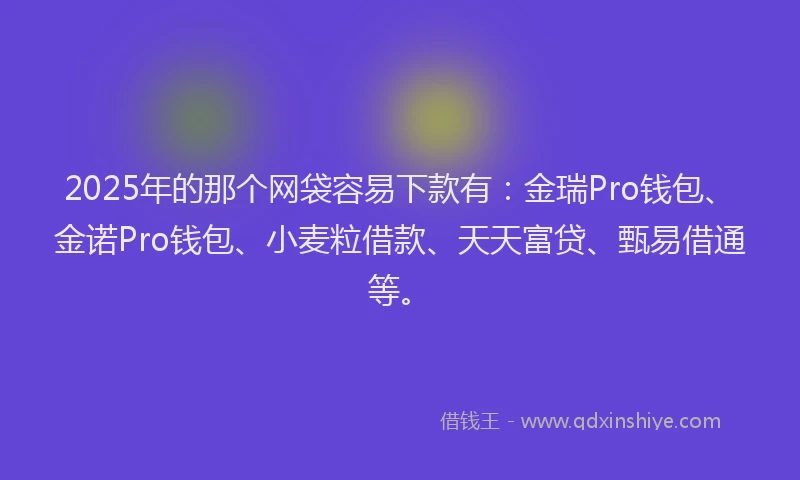 2025年的那个网袋容易下款有：金瑞Pro钱包、金诺Pro钱包、小麦粒借款、天天富贷、甄易借通等。