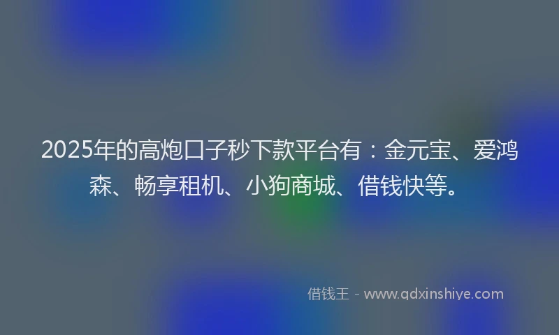 2025年的高炮口子秒下款平台有:金元宝、爱鸿森、畅享租机、小狗商城、借钱快等。