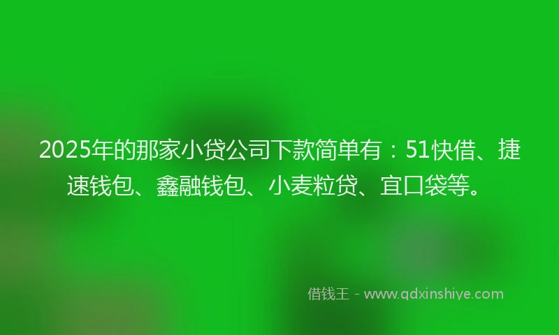 2025年的那家小贷公司下款简单有:51快借、捷速钱包、鑫融钱包、小麦粒贷、宜口袋等。