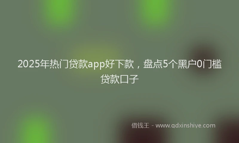 2025年热门贷款app好下款，盘点5个黑户0门槛贷款口子