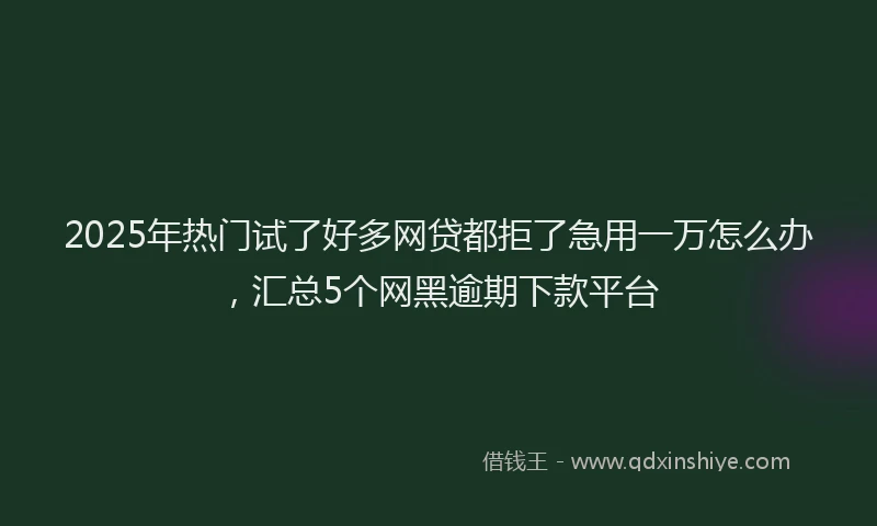 2025年热门试了好多网贷都拒了急用一万怎么办，汇总5个网黑逾期下款平台