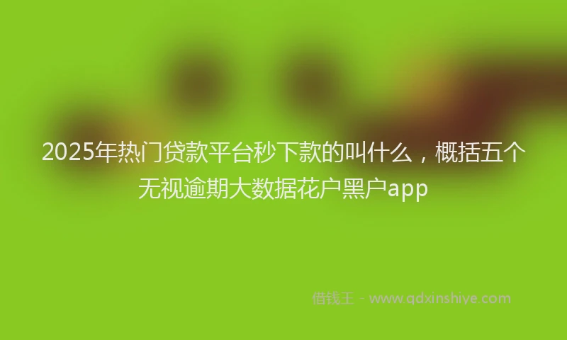 2025年热门贷款平台秒下款的叫什么,概括五个无视逾期大数据花户黑户app