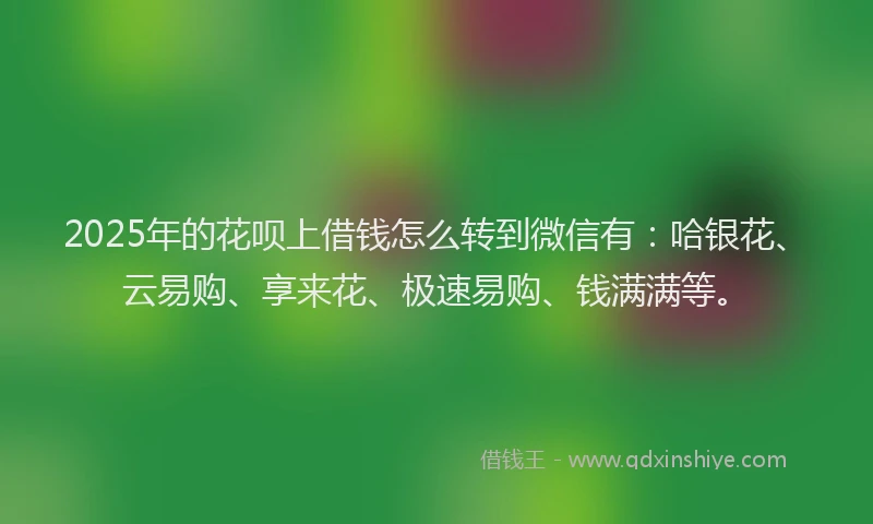 2025年的花呗上借钱怎么转到微信有:哈银花、云易购、享来花、极速易购、钱满满等。