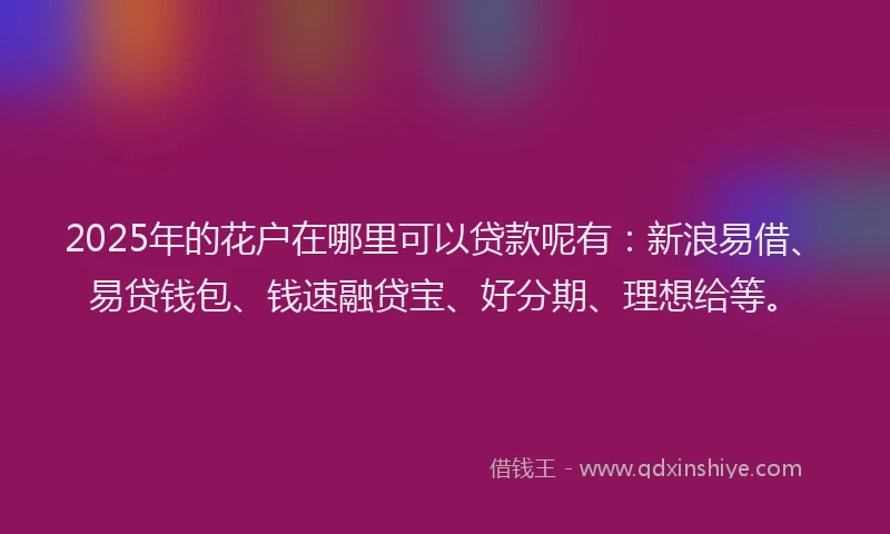 2025年的花户在哪里可以贷款呢有：新浪易借、易贷钱包、钱速融贷宝、好分期、理想给等。