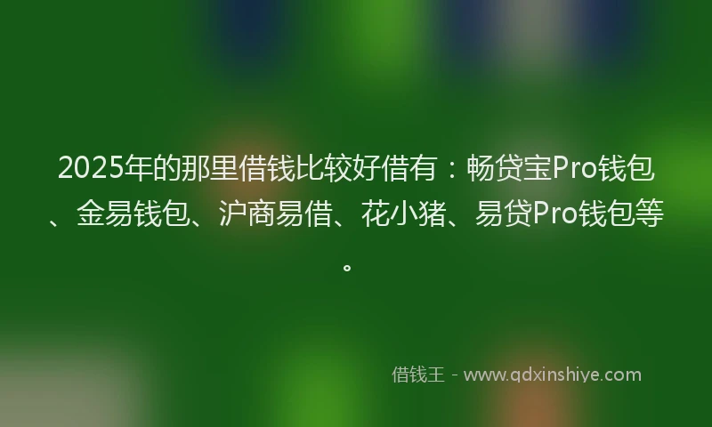 2025年的那里借钱比较好借有:畅贷宝Pro钱包、金易钱包、沪商易借、花小猪、易贷Pro钱包等。