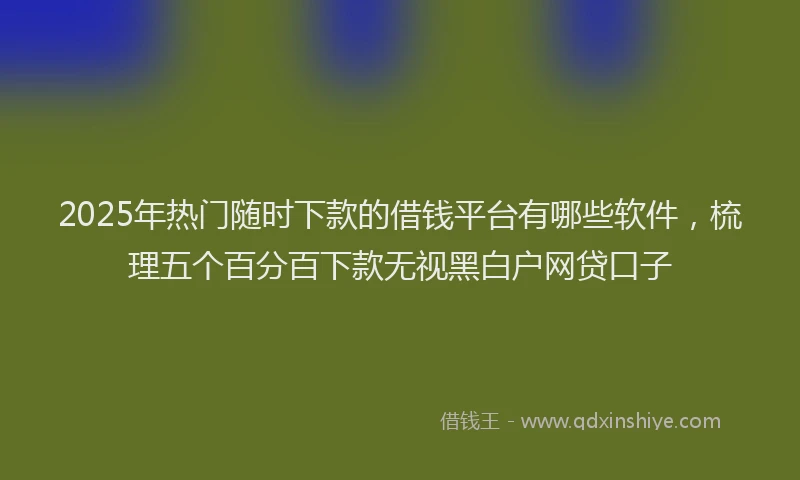 2025年热门随时下款的借钱平台有哪些软件，梳理五个百分百下款无视黑白户网贷口子