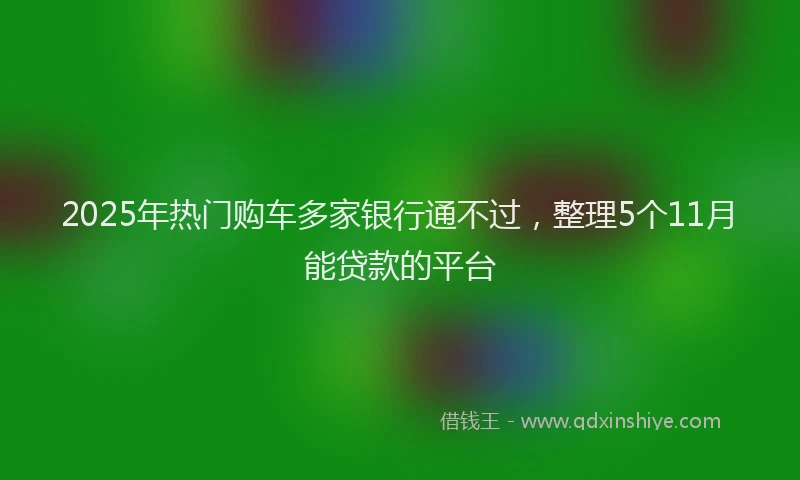 2025年热门购车多家银行通不过，整理5个11月能贷款的平台