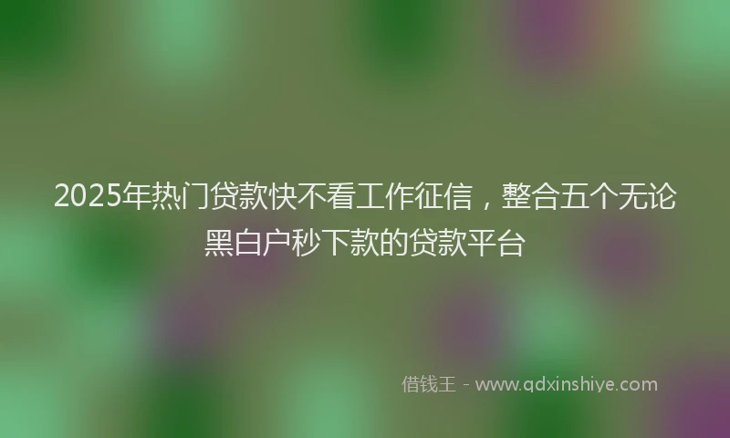 2025年热门贷款快不看工作征信,整合五个无论黑白户秒下款的贷款平台