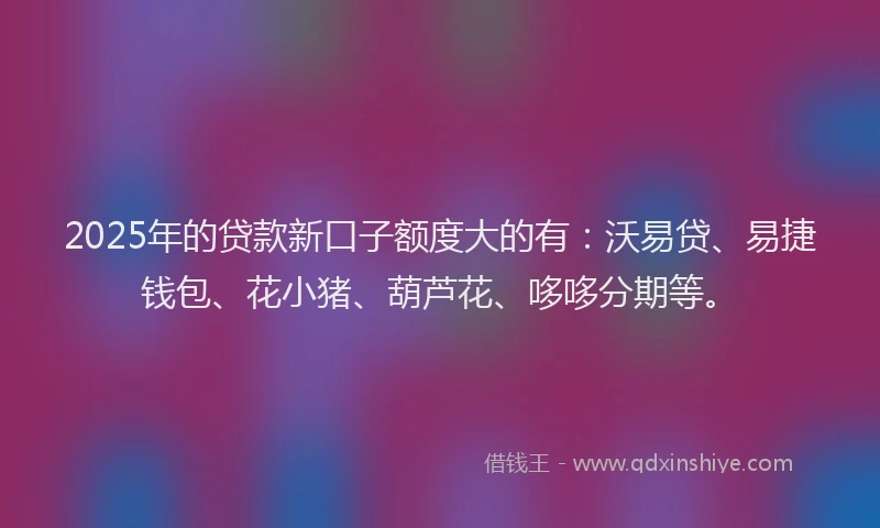 2025年的贷款新口子额度大的有:沃易贷、易捷钱包、花小猪、葫芦花、哆哆分期等。