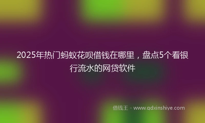 2025年热门蚂蚁花呗借钱在哪里，盘点5个看银行流水的网贷软件
