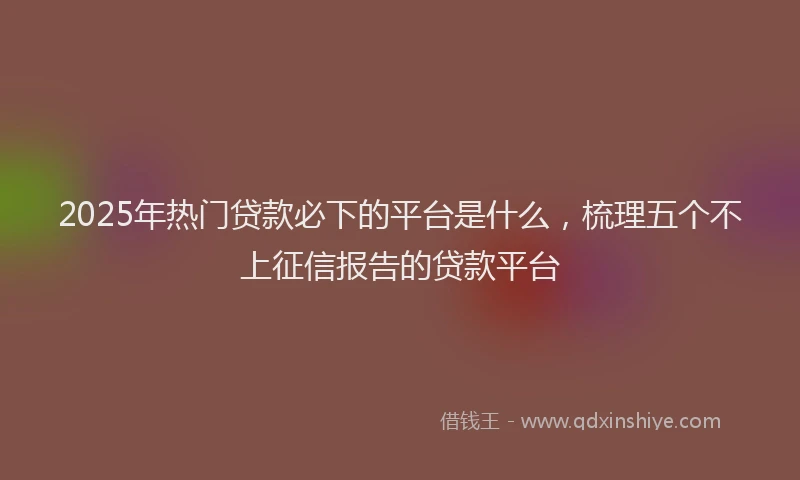 2025年热门贷款必下的平台是什么,梳理五个不上征信报告的贷款平台