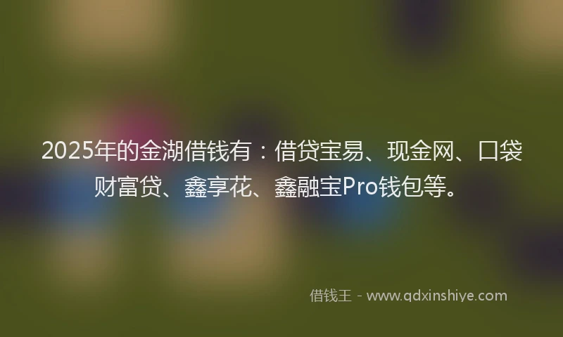 2025年的金湖借钱有：借贷宝易、现金网、口袋财富贷、鑫享花、鑫融宝Pro钱包等。