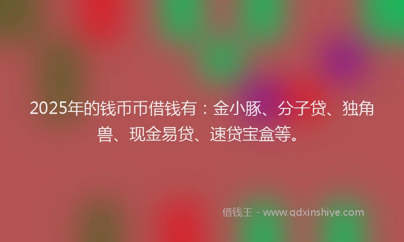 2025年的钱币币借钱有：金小豚、分子贷、独角兽、现金易贷、速贷宝盒等。