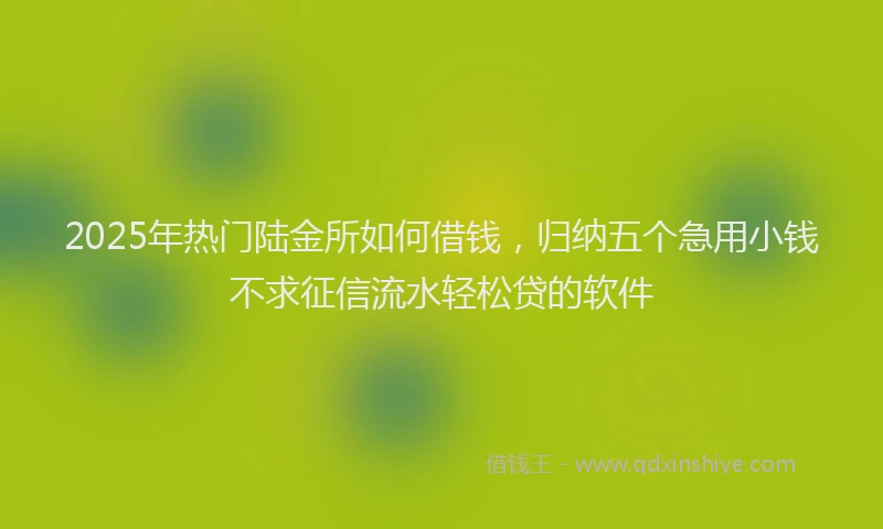 2025年热门陆金所如何借钱，归纳五个急用小钱不求征信流水轻松贷的软件