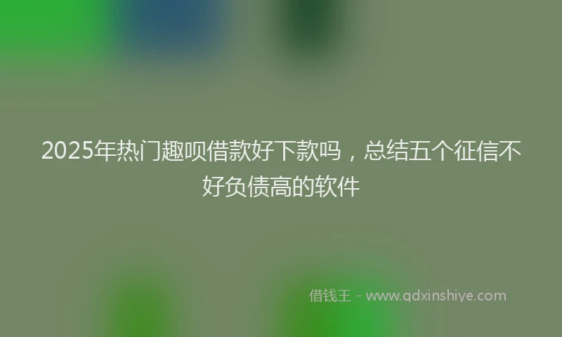 2025年热门趣呗借款好下款吗,总结五个征信不好负债高的软件