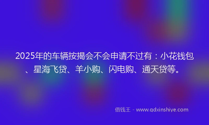 2025年的车辆按揭会不会申请不过有：小花钱包、星海飞贷、羊小购、闪电购、通天贷等。