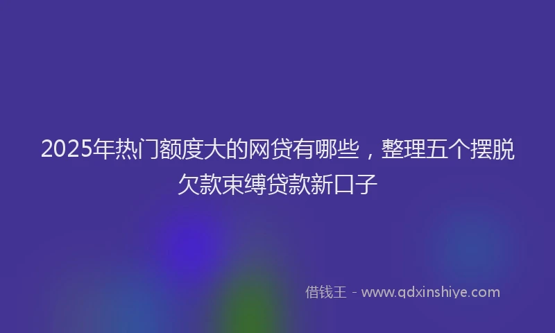 2025年热门额度大的网贷有哪些，整理五个摆脱欠款束缚贷款新口子