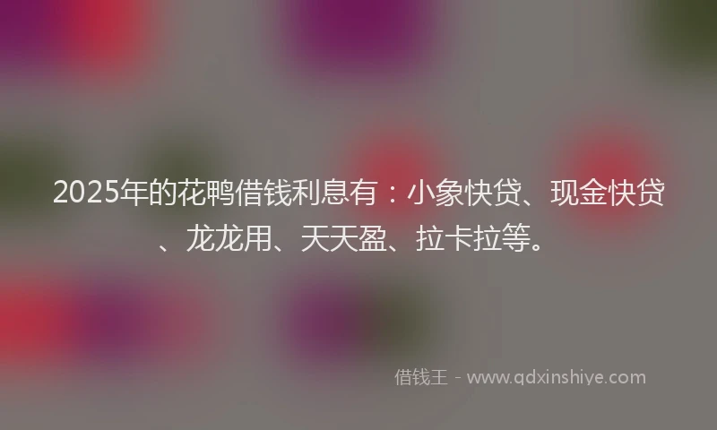 2025年的花鸭借钱利息有：小象快贷、现金快贷、龙龙用、天天盈、拉卡拉等。