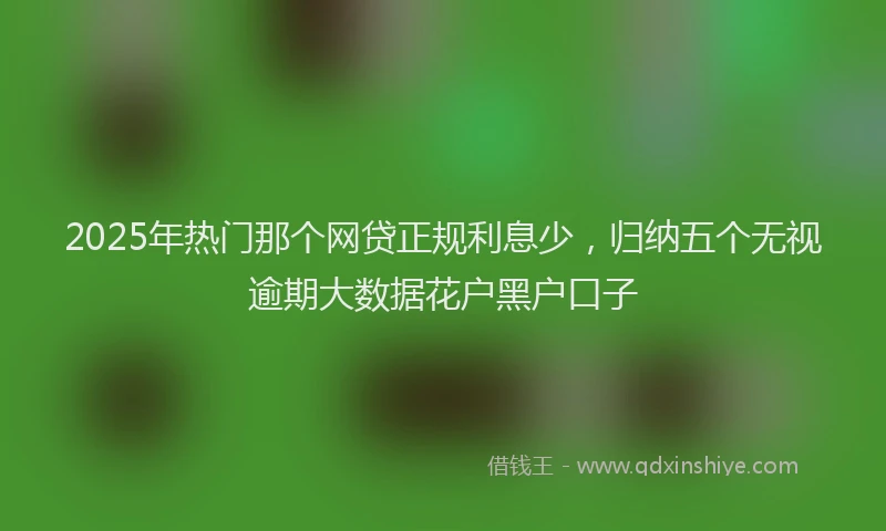 2025年热门那个网贷正规利息少，归纳五个无视逾期大数据花户黑户口子
