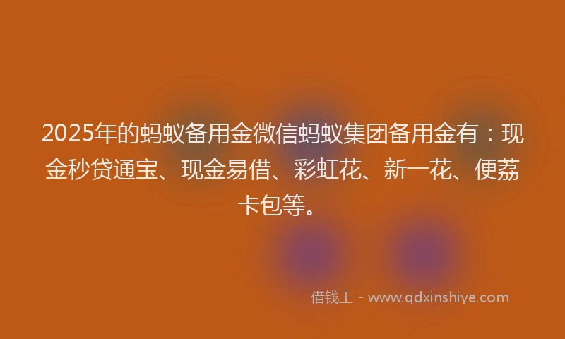 2025年的蚂蚁备用金微信蚂蚁集团备用金有：现金秒贷通宝、现金易借、彩虹花、新一花、便荔卡包等。