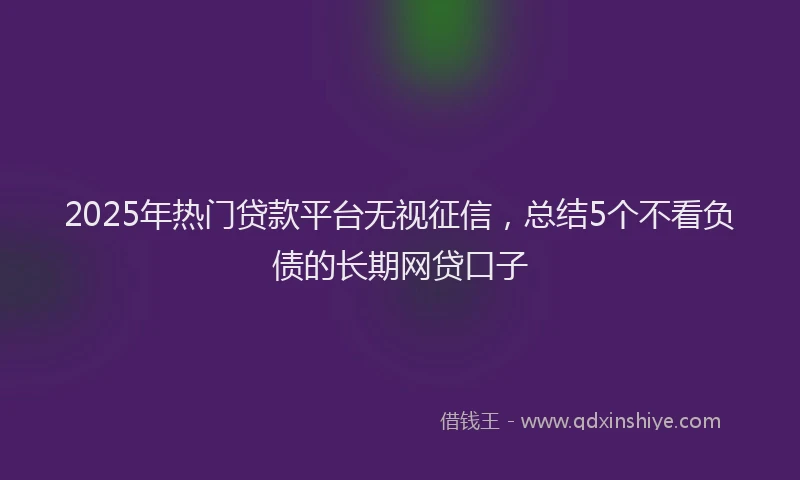 2025年热门贷款平台无视征信,总结5个不看负债的长期网贷口子