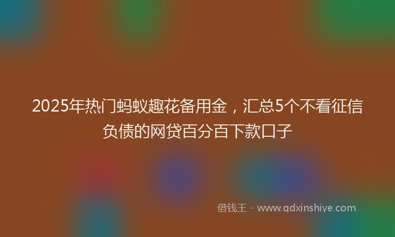 2025年热门蚂蚁趣花备用金，汇总5个不看征信负债的网贷百分百下款口子