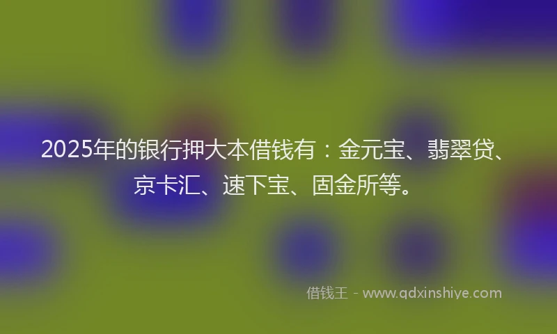 2025年的银行押大本借钱有：金元宝、翡翠贷、京卡汇、速下宝、固金所等。
