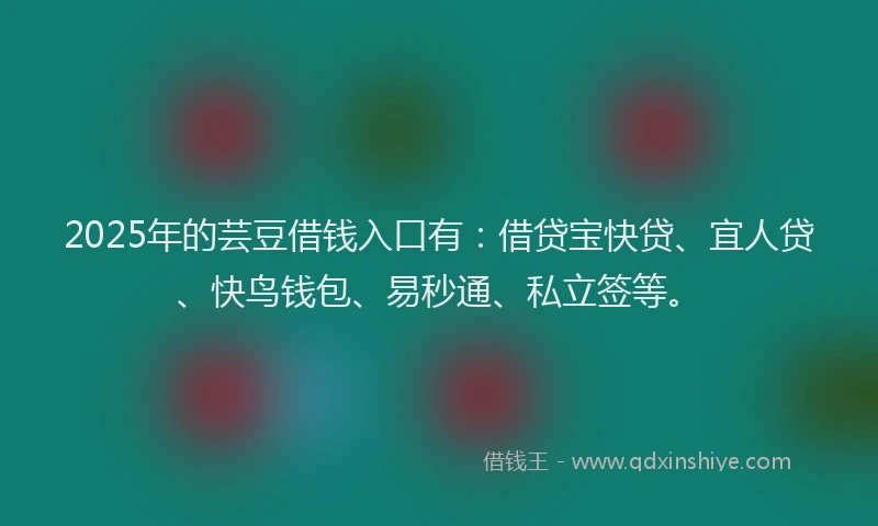 2025年的芸豆借钱入口有：借贷宝快贷、宜人贷、快鸟钱包、易秒通、私立签等。