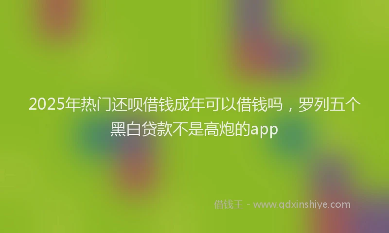 2025年热门还呗借钱成年可以借钱吗，罗列五个黑白贷款不是高炮的app