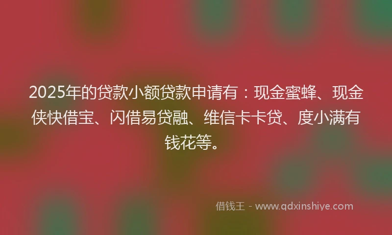 2025年的贷款小额贷款申请有:现金蜜蜂、现金侠快借宝、闪借易贷融、维信卡卡贷、度小满有钱花等。