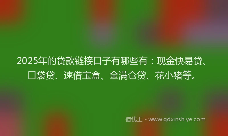 2025年的贷款链接口子有哪些有：现金快易贷、口袋贷、速借宝盒、金满仓贷、花小猪等。