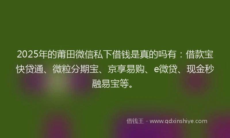 2025年的莆田微信私下借钱是真的吗有：借款宝快贷通、微粒分期宝、京享易购、e微贷、现金秒融易宝等。