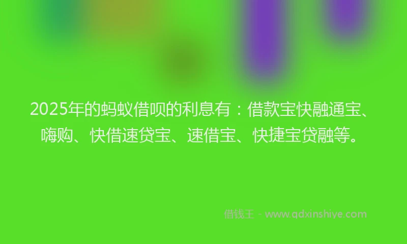 2025年的蚂蚁借呗的利息有：借款宝快融通宝、嗨购、快借速贷宝、速借宝、快捷宝贷融等。