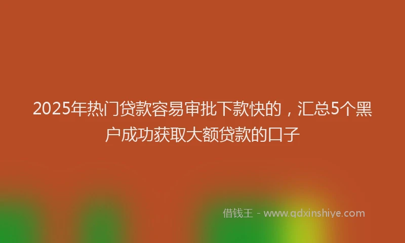 2025年热门贷款容易审批下款快的,汇总5个黑户成功获取大额贷款的口子
