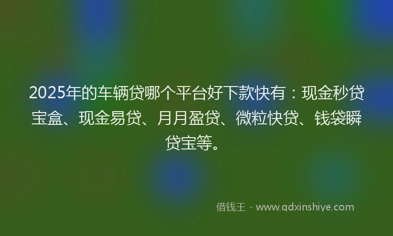 2025年的车辆贷哪个平台好下款快有:现金秒贷宝盒、现金易贷、月月盈贷、微粒快贷、钱袋瞬贷宝等。