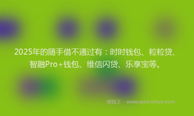 2025年的随手借不通过有：时时钱包、粒粒贷、智融Pro+钱包、维信闪贷、乐享宝等。