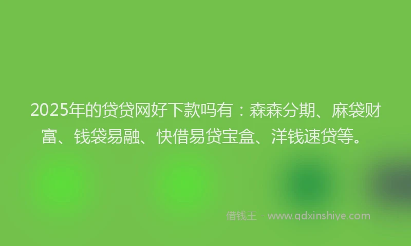 2025年的贷贷网好下款吗有：森森分期、麻袋财富、钱袋易融、快借易贷宝盒、洋钱速贷等。