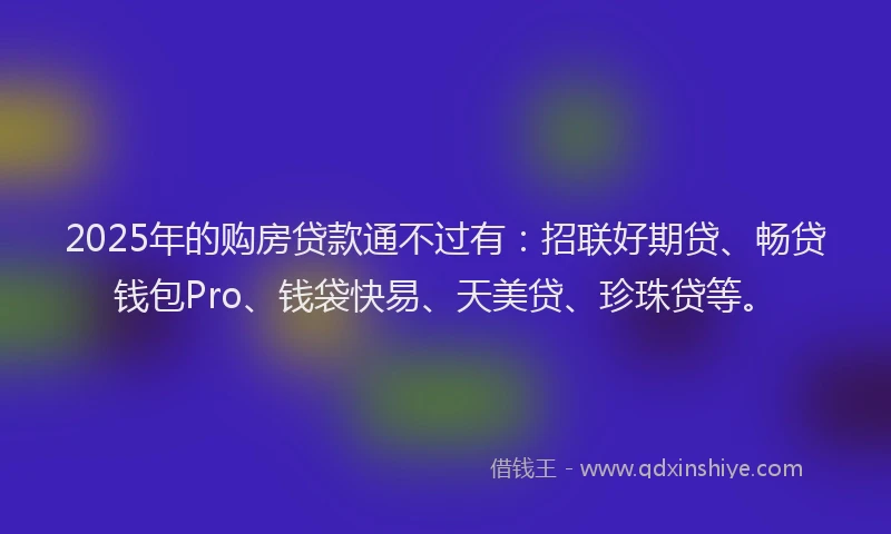 2025年的购房贷款通不过有:招联好期贷、畅贷钱包Pro、钱袋快易、天美贷、珍珠贷等。