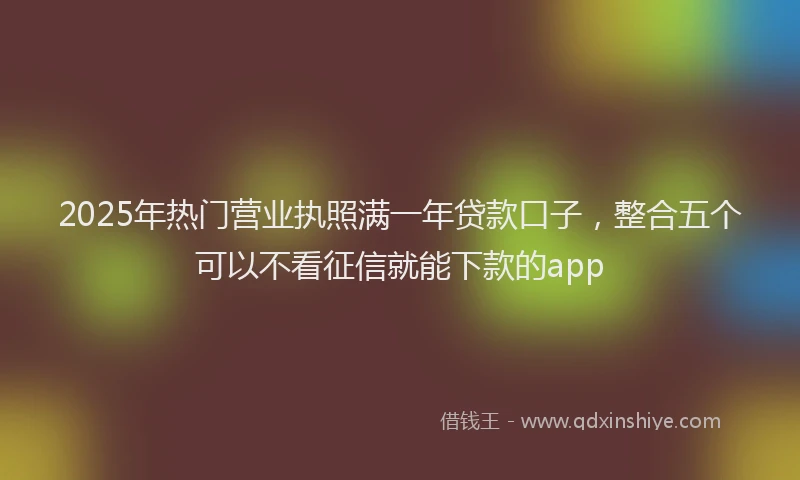 2025年热门营业执照满一年贷款口子，整合五个可以不看征信就能下款的app