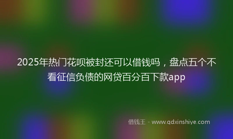 2025年热门花呗被封还可以借钱吗,盘点五个不看征信负债的网贷百分百下款app