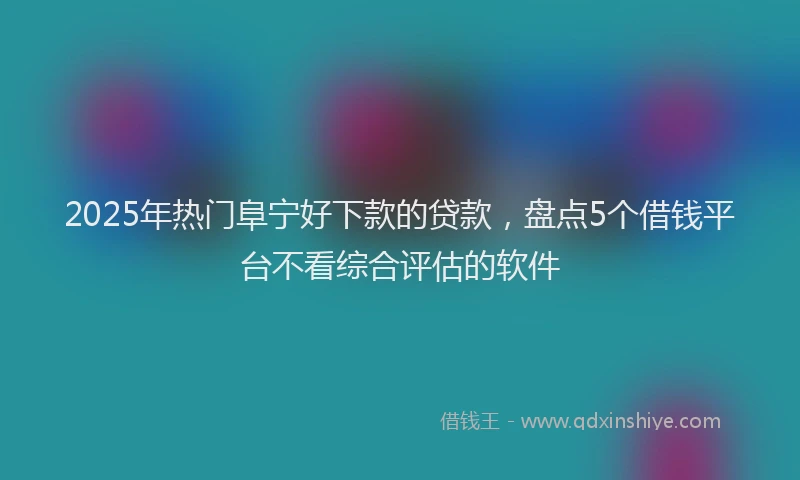 2025年热门阜宁好下款的贷款，盘点5个借钱平台不看综合评估的软件
