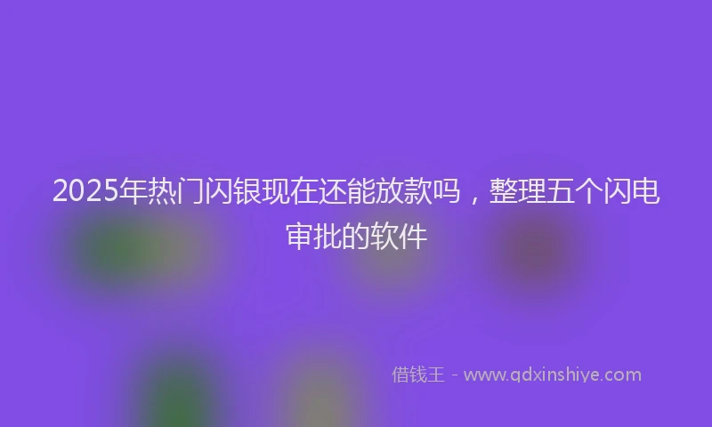 2025年热门闪银现在还能放款吗，整理五个闪电审批的软件