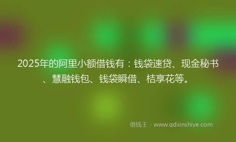 2025年的阿里小额借钱有：钱袋速贷、现金秘书、慧融钱包、钱袋瞬借、桔享花等。