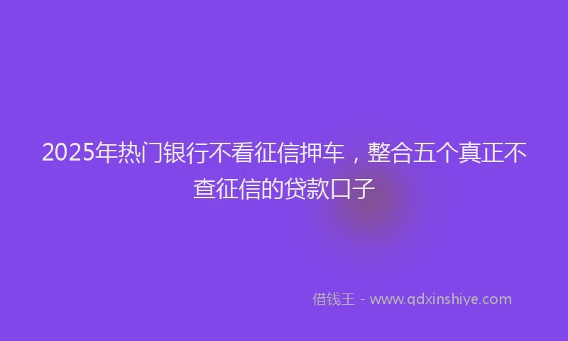 2025年热门银行不看征信押车，整合五个真正不查征信的贷款口子