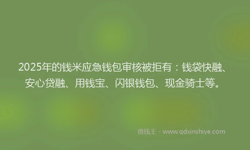2025年的钱米应急钱包审核被拒有:钱袋快融、安心贷融、用钱宝、闪银钱包、现金骑士等。