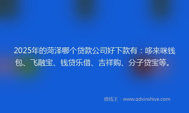 2025年的菏泽哪个贷款公司好下款有：哆来咪钱包、飞融宝、钱贷乐借、吉祥购、分子贷宝等。