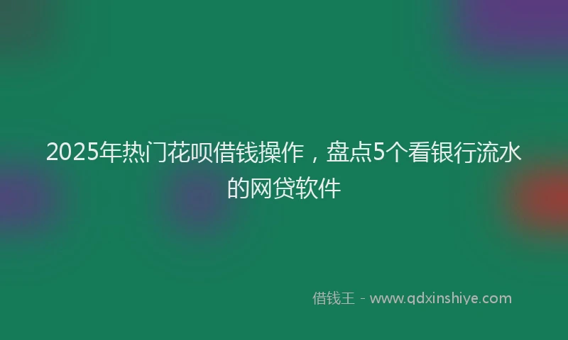2025年热门花呗借钱操作，盘点5个看银行流水的网贷软件