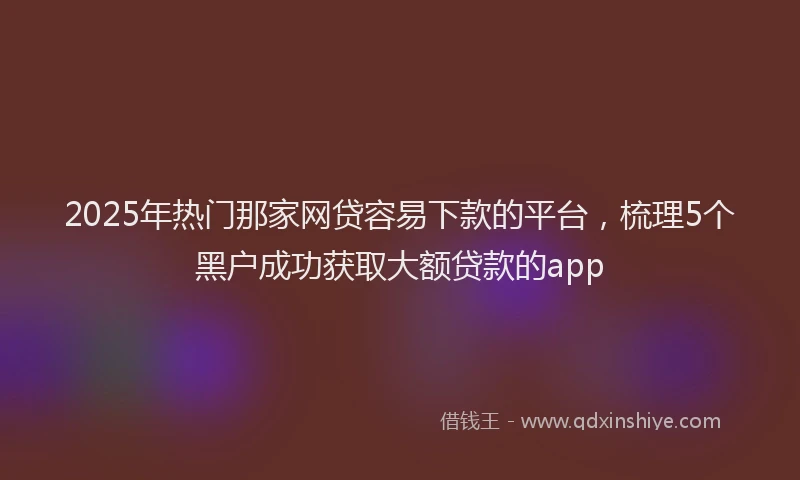 2025年热门那家网贷容易下款的平台,梳理5个黑户成功获取大额贷款的app