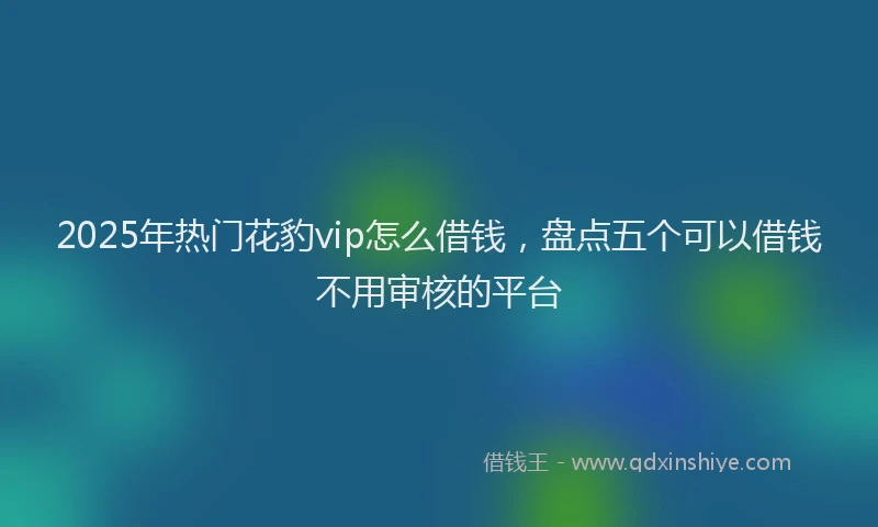 2025年热门花豹vip怎么借钱,盘点五个可以借钱不用审核的平台